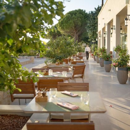 About Restaurants and Bars