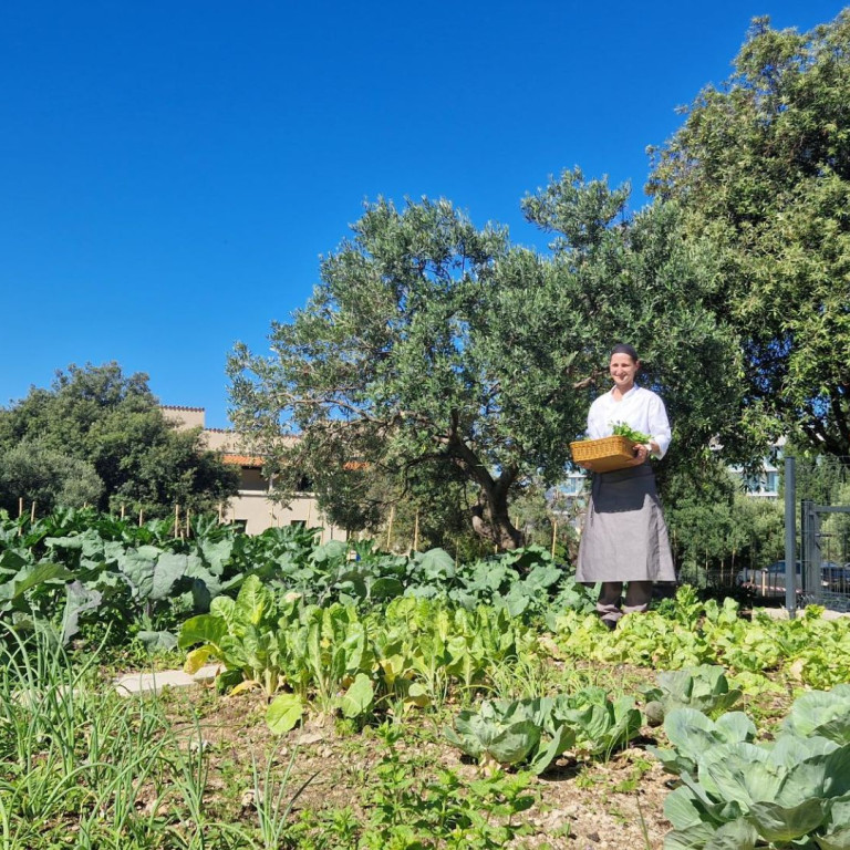 Unser neuer Gemüsegarten