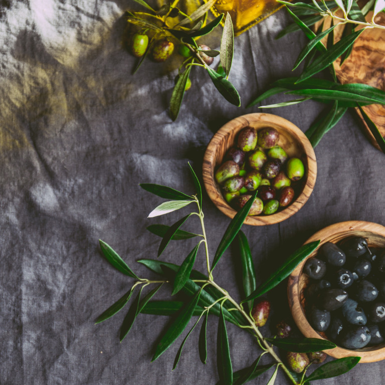 Dubrovnik’s Rich Olive Oil Tradition: A Journey through History and Flavor