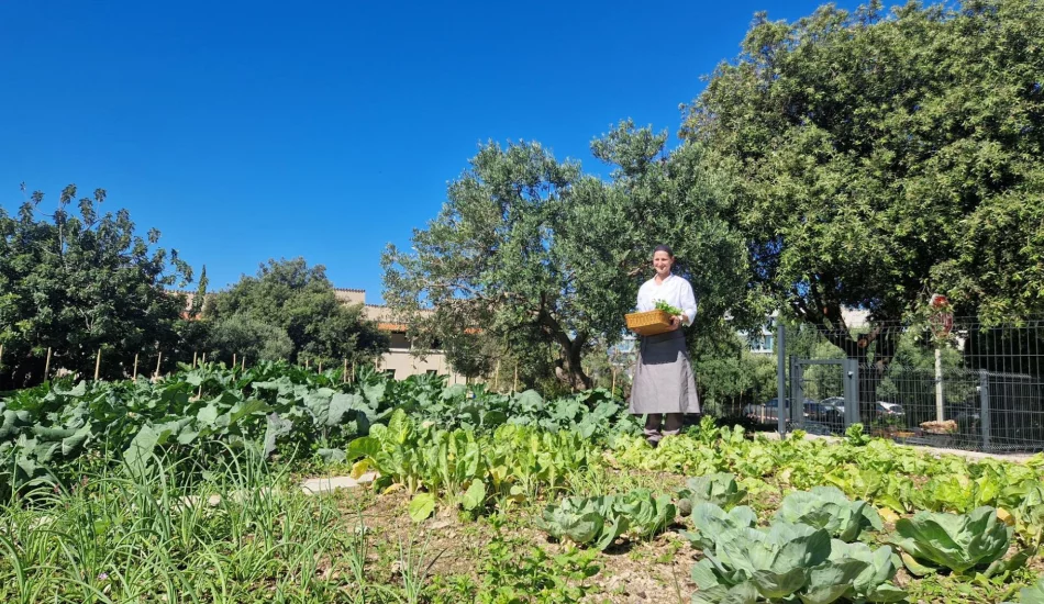 Embracing Sustainability: Our New Vegetable Garden