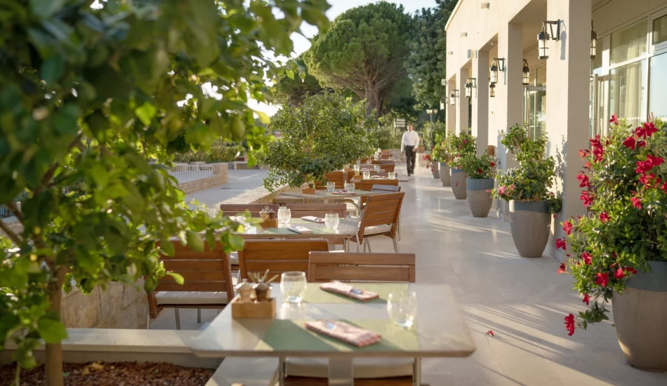 About Restaurants and Bars